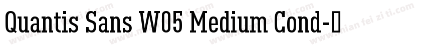 Quantis Sans W05 Medium Cond字体转换